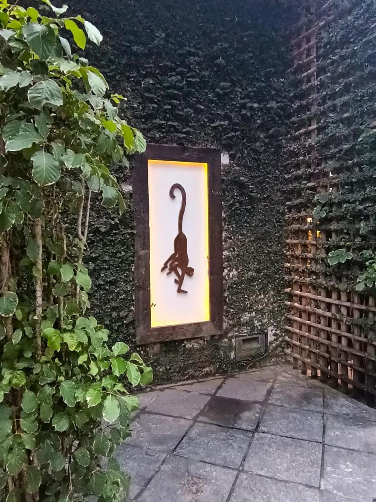 Hotel Monkey Casa 3*